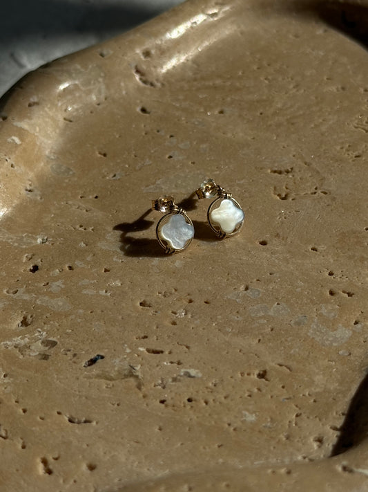 Puces Swan étoile